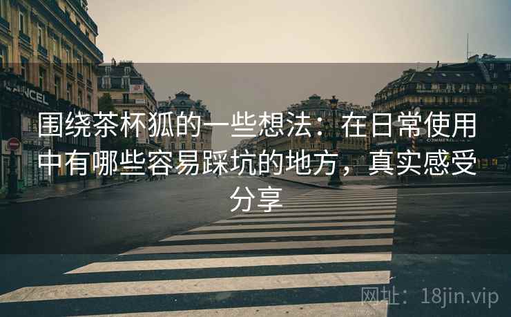 围绕茶杯狐的一些想法：在日常使用中有哪些容易踩坑的地方，真实感受分享