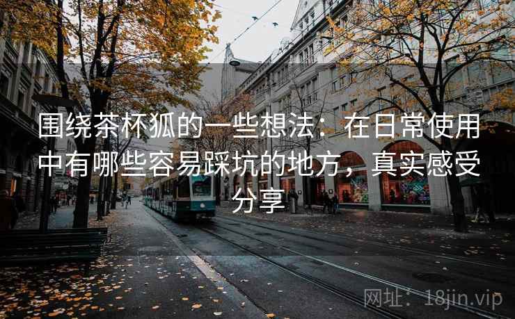 围绕茶杯狐的一些想法：在日常使用中有哪些容易踩坑的地方，真实感受分享  第2张