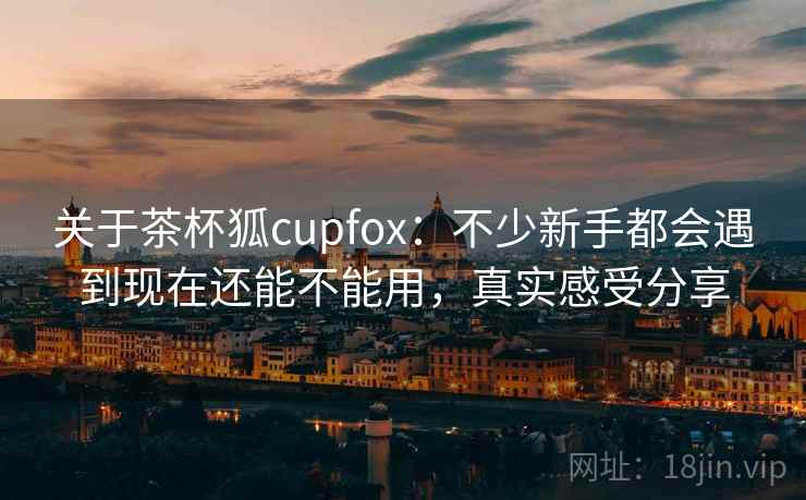 关于茶杯狐cupfox:不少新手都会遇到现在还能不能用,真实感受分享