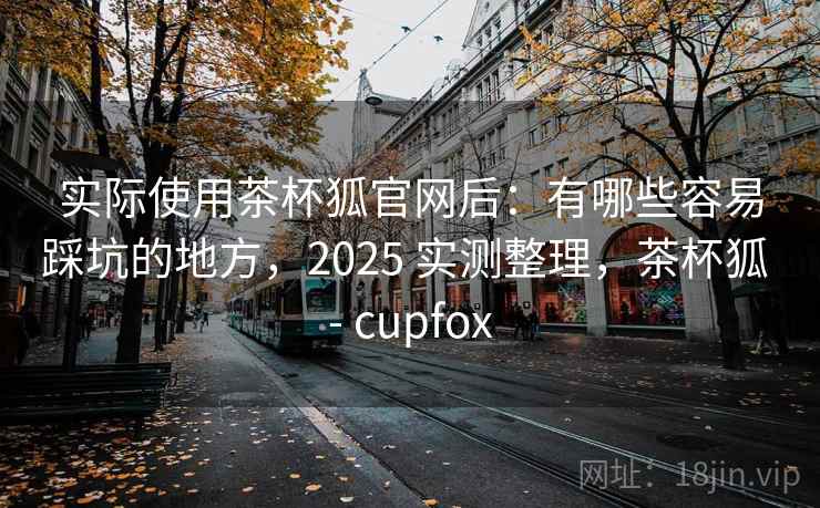 实际使用茶杯狐官网后：有哪些容易踩坑的地方，2025 实测整理，茶杯狐 - cupfox