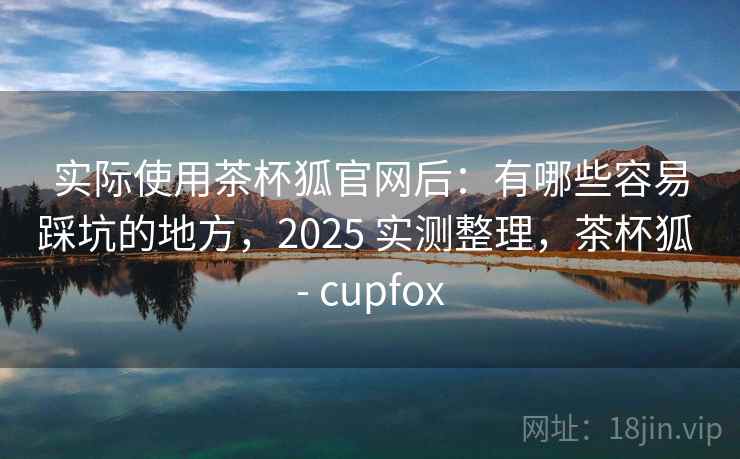 实际使用茶杯狐官网后：有哪些容易踩坑的地方，2025 实测整理，茶杯狐 - cupfox  第2张