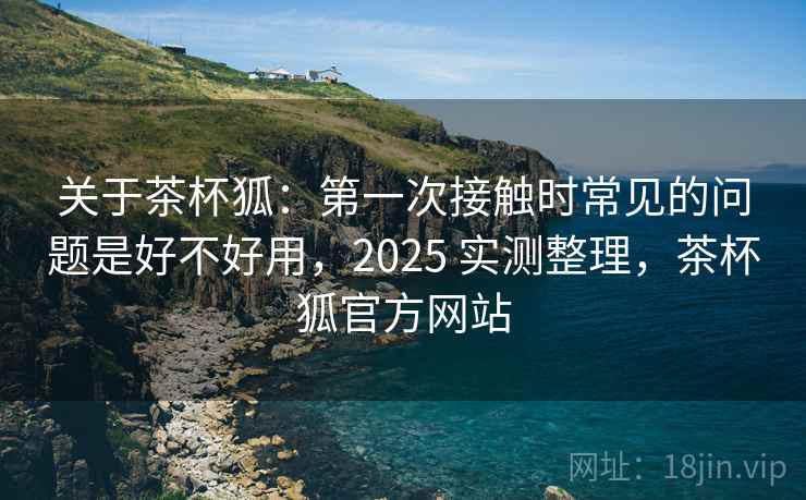 关于茶杯狐：第一次接触时常见的问题是好不好用，2025 实测整理，茶杯狐官方网站  第2张